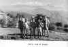 1960 Camping2.jpg (65032 bytes)