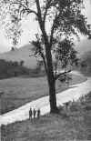 1960 The River.jpg (58834 bytes)