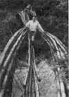 1961 Camping2.jpg (31658 bytes)