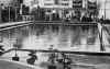 1964 Swimming1.jpg (45981 bytes)