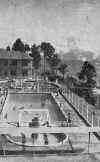 1964 Swimming2.jpg (43338 bytes)