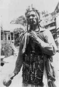 Begging Lama.jpg (122346 bytes)