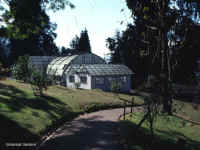 Botanical Gardens.jpg (114976 bytes)