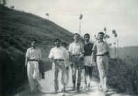 Scout Troop Walking.jpg (48442 bytes)