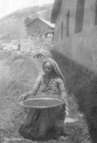 Tea Sorter.jpg (42512 bytes)