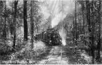 Toy_Train_Darj_Ave.jpg (81008 bytes)