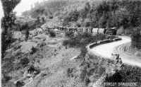 Toy_Train_Sonada_Forest.jpg (87705 bytes)