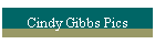 Cindy Gibbs Pics