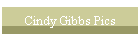 Cindy Gibbs Pics