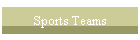 Sports Teams