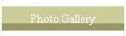 Photo Gallery