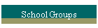School Groups
