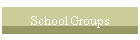School Groups